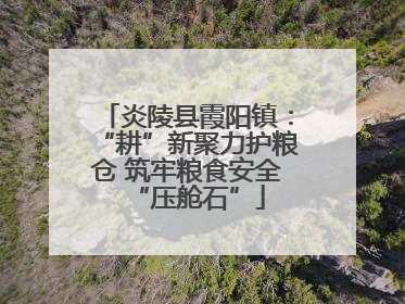 炎陵县霞阳镇：“耕”新聚力护粮仓 筑牢粮食安全“压舱石”
