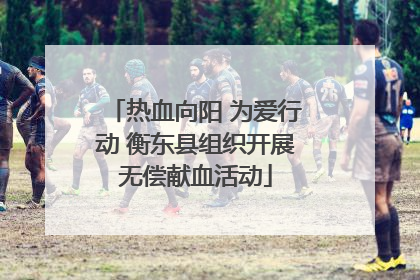 热血向阳 为爱行动 衡东县组织开展无偿献血活动