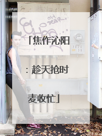 焦作沁阳：趁天抢时麦收忙