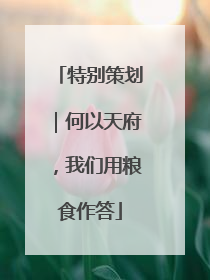 特别策划｜何以天府，我们用粮食作答
