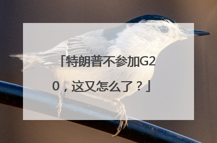 特朗普不参加G20，这又怎么了？