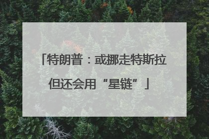 特朗普：或挪走特斯拉 但还会用“星链”
