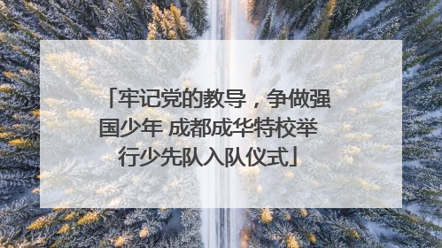 牢记党的教导，争做强国少年 成都成华特校举行少先队入队仪式