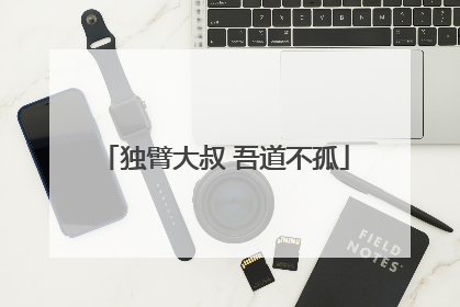 独臂大叔 吾道不孤