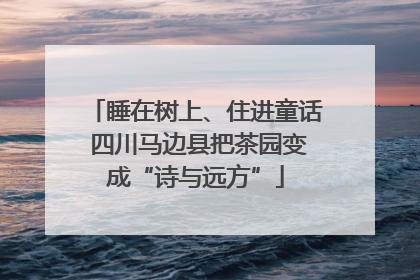 睡在树上、住进童话 四川马边县把茶园变成“诗与远方”