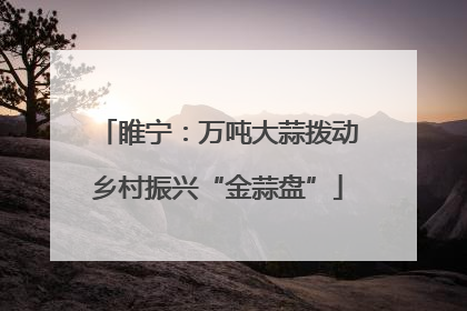 睢宁：万吨大蒜拨动乡村振兴“金蒜盘”