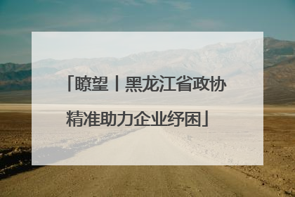 瞭望丨黑龙江省政协精准助力企业纾困