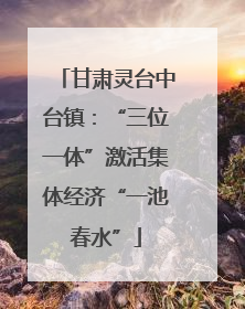 甘肃灵台中台镇：“三位一体”激活集体经济“一池春水”