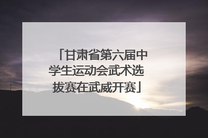 甘肃省第六届中学生运动会武术选拔赛在武威开赛