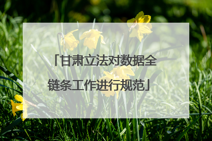 甘肃立法对数据全链条工作进行规范