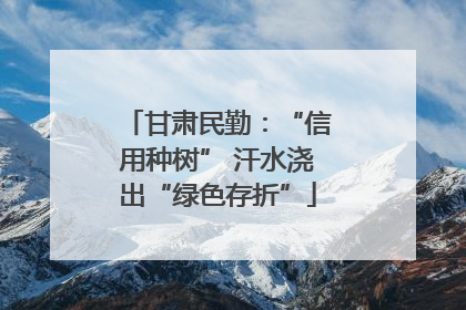 甘肃民勤：“信用种树” 汗水浇出“绿色存折”