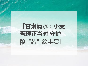 甘肃清水：小麦管理正当时 守护粮“芯”绘丰景