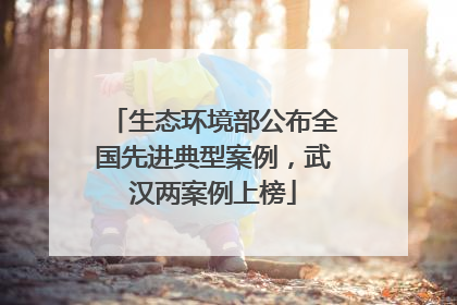 生态环境部公布全国先进典型案例，武汉两案例上榜