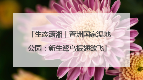 生态潇湘｜萱洲国家湿地公园：新生鹭鸟振翅欲飞