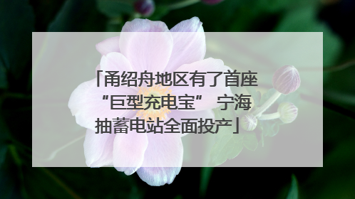 甬绍舟地区有了首座“巨型充电宝” 宁海抽蓄电站全面投产