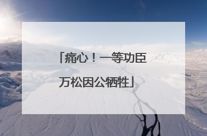 痛心！一等功臣万松因公牺牲