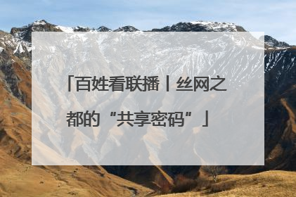 百姓看联播丨丝网之都的“共享密码”