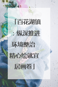百花湖镇：纵深推进环境整治 精心绘就宜居画卷