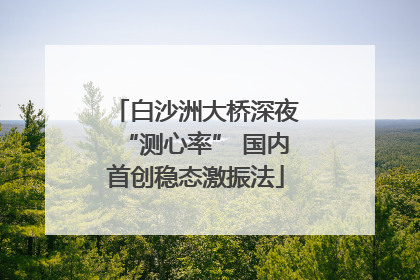 白沙洲大桥深夜“测心率” 国内首创稳态激振法