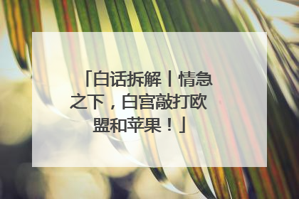 白话拆解丨情急之下，白宫敲打欧盟和苹果！
