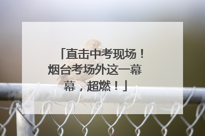 直击中考现场！烟台考场外这一幕幕，超燃！