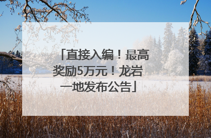 直接入编！最高奖励5万元！龙岩一地发布公告