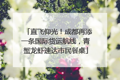 直飞仰光！成都再添一条国际货运航线，青蟹龙虾速达市民餐桌