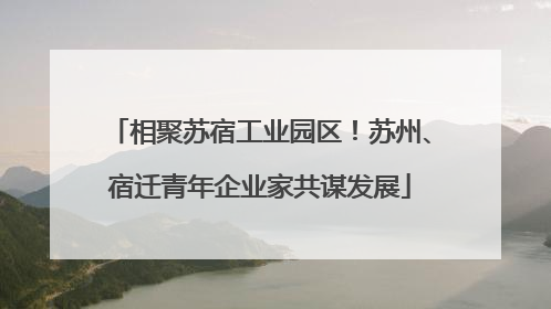 相聚苏宿工业园区！苏州、宿迁青年企业家共谋发展
