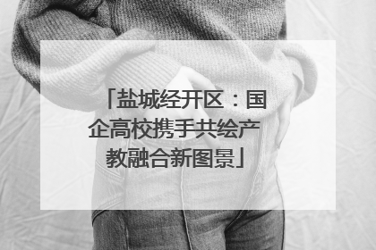 盐城经开区：国企高校携手共绘产教融合新图景