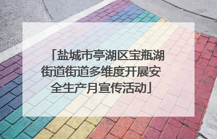 盐城市亭湖区宝瓶湖街道街道多维度开展安全生产月宣传活动