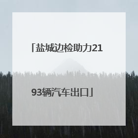 盐城边检助力2193辆汽车出口
