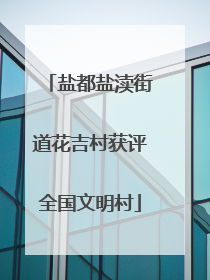 盐都盐渎街道花吉村获评全国文明村