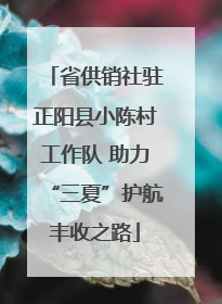 省供销社驻正阳县小陈村工作队 助力“三夏”护航丰收之路