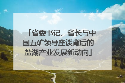 省委书记、省长与中国五矿领导座谈背后的盐湖产业发展新动向