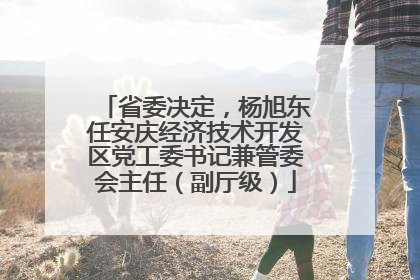 省委决定，杨旭东任安庆经济技术开发区党工委书记兼管委会主任（副厅级）