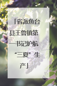 省派鱼台县王鲁镇第一书记护航“三夏”生产