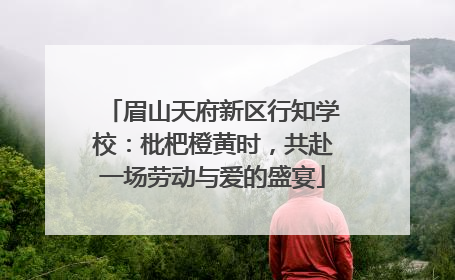 眉山天府新区行知学校：枇杷橙黄时，共赴一场劳动与爱的盛宴