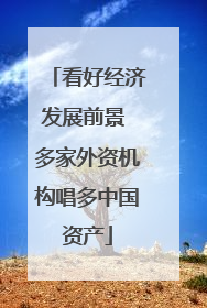 看好经济发展前景 多家外资机构唱多中国资产