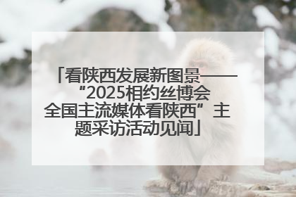 看陕西发展新图景——“2025相约丝博会 全国主流媒体看陕西”主题采访活动见闻