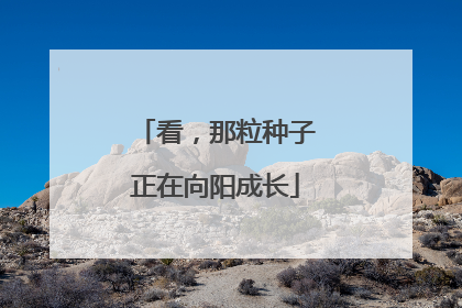 看，那粒种子正在向阳成长