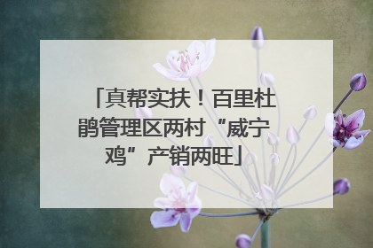 真帮实扶！百里杜鹃管理区两村“威宁鸡”产销两旺