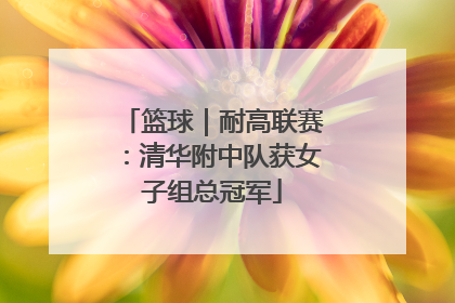 篮球｜耐高联赛：清华附中队获女子组总冠军