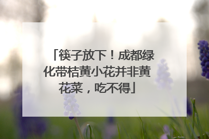 筷子放下！成都绿化带桔黄小花并非黄花菜，吃不得
