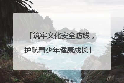 筑牢文化安全防线，护航青少年健康成长
