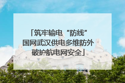 筑牢输电“防线” 国网武汉供电多维防外破护航电网安全