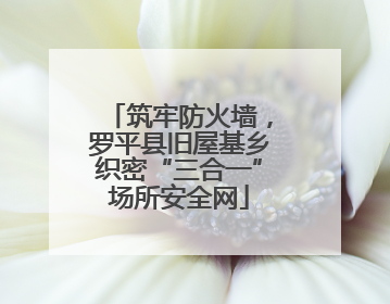 筑牢防火墙，罗平县旧屋基乡织密“三合一”场所安全网