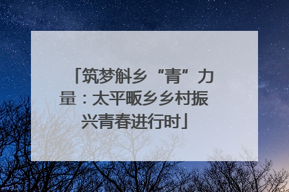 筑梦斛乡“青”力量：太平畈乡乡村振兴青春进行时