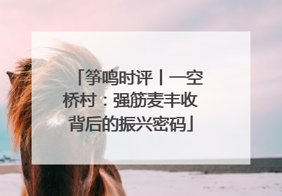 筝鸣时评丨一空桥村：强筋麦丰收背后的振兴密码