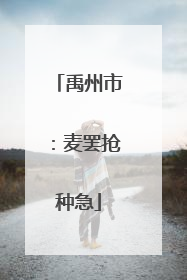 禹州市：麦罢抢种急