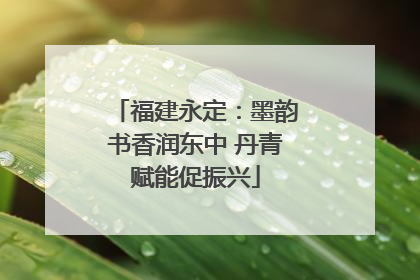 福建永定：墨韵书香润东中 丹青赋能促振兴